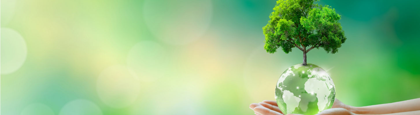 液体調味料のOEM・PB開発を通じてSDGsに取り組んでいます