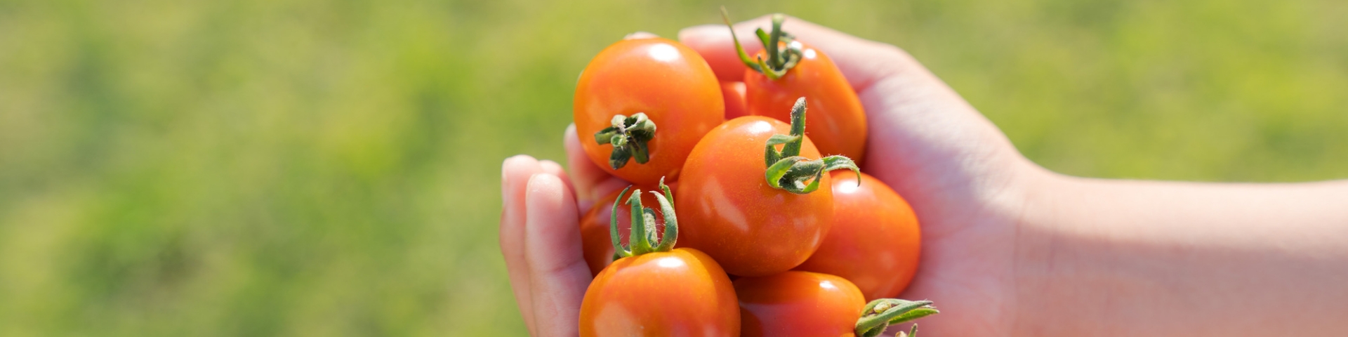 フードロスを解決