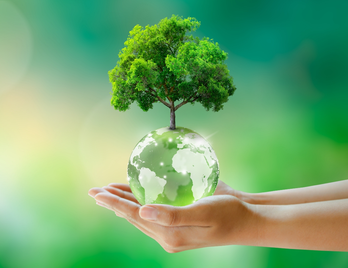 サスティナビリティ