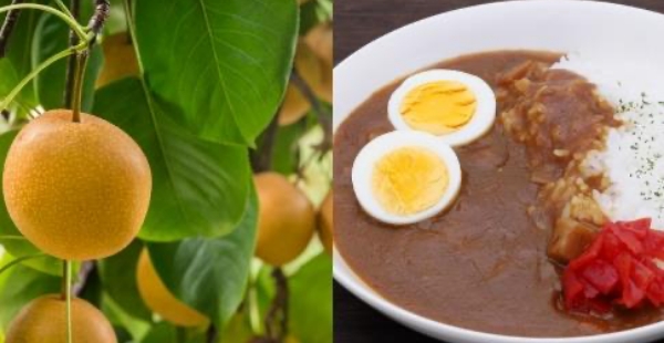 梨農園で規格外として廃棄されていた梨を、ドレッシング・ソースにして商品化